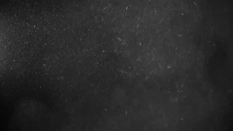 Natural Dust Particles Float On Black Background. Dust In Motion. Stock Footage 123476882