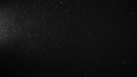 Natural Dust Particles Float On Black Background. Dust In Motion. Stock Footage 123477901