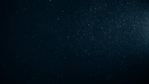 Natural Dust Particles Float On Black Background. Dust In Motion. Stock Footage 123478535