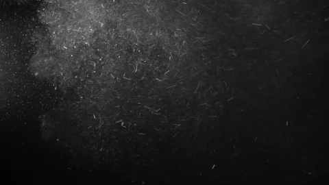 Natural Dust Particles Float On Black Background. Dust In Motion. Stock Footage 123479115