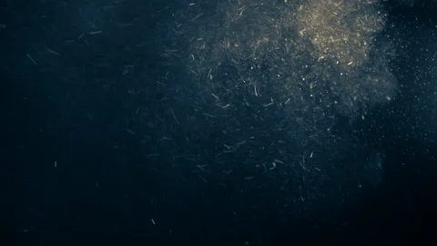 Natural Dust Particles Float On Black Background. Dust In Motion. Stock Footage 123479300