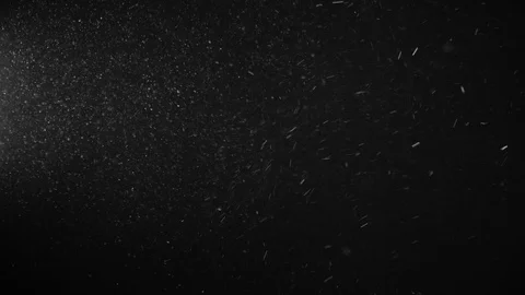 Natural Dust Particles Float On Black Background. Dust In Motion. Stock Footage 123479713