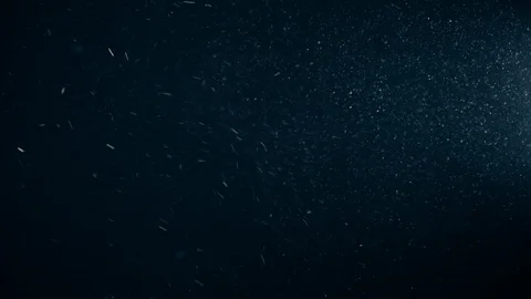 Natural Dust Particles Float On Black Background. Dust In Motion. Stock Footage 123480334