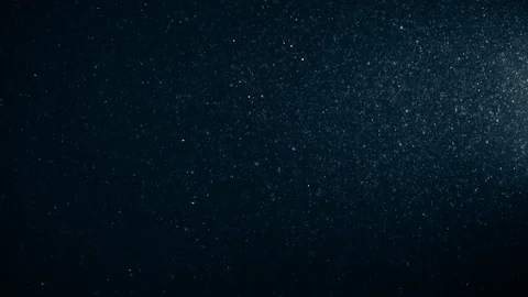 Natural Dust Particles Float On Black Background. Dust In Motion. Stock Footage 123480732