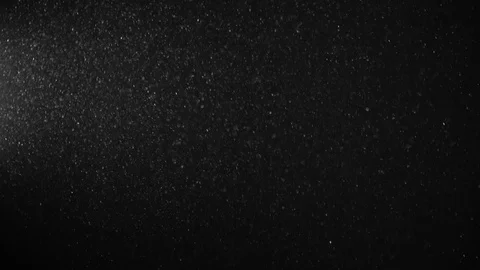 Natural Dust Particles Float On Black Background. Dust In Motion. Stock Footage 123481194