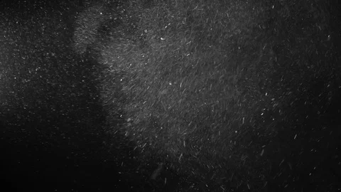 Natural Dust Particles Float On Black Background. Dust In Motion. Stock Footage 123481467