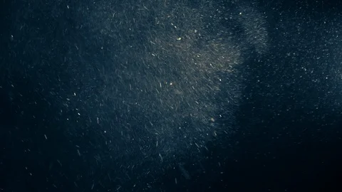 Natural Dust Particles Float On Black Background. Dust In Motion. Stock Footage 123481570
