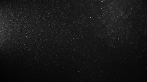 Natural Dust Particles Float On Black Background. Dust In Motion. Stock Footage 123500806