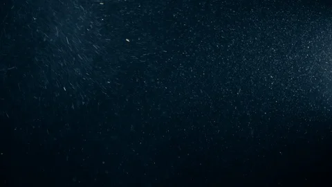 Natural Dust Particles Float On Black Background. Dust In Motion. Stock Footage 123500833