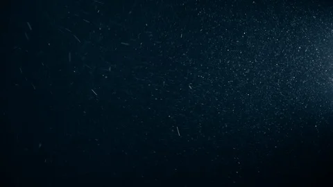 Natural Dust Particles Float On Black Background. Dust In Motion. Stock Footage 123501158