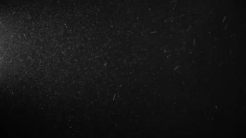 Natural Dust Particles Float On Black Background. Dust In Motion. Stock Footage 123501204