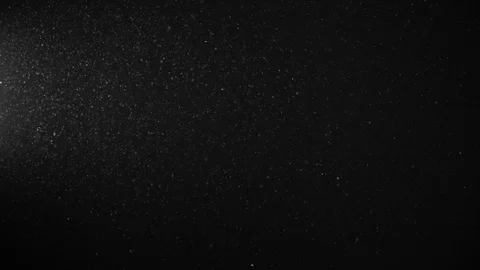 Natural Dust Particles Float On Black Background. Dust In Motion. Stock Footage 123501567