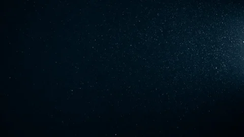 Natural Dust Particles Float On Black Background. Dust In Motion. Stock Footage 123501680