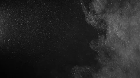 Natural Dust Particles Float On Black Background. Dust In Motion. 스톡 동영상 123502090
