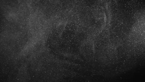 Natural Dust Particles Float On Black Background. Dust In Motion. Stock Footage 123695151