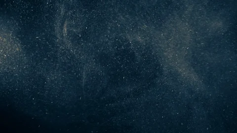 Natural Dust Particles Float On Black Background. Dust In Motion. Stock Footage 123695156