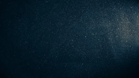 Natural Dust Particles Float On Black Background. Dust In Motion. Stock Footage 123695316