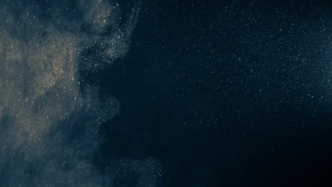Natural Dust Particles Float On Black Background. Dust In Motion. Stock Footage 123695477