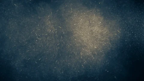 Natural Dust Particles Float On Black Background. Dust In Motion. Stock Footage 123697212