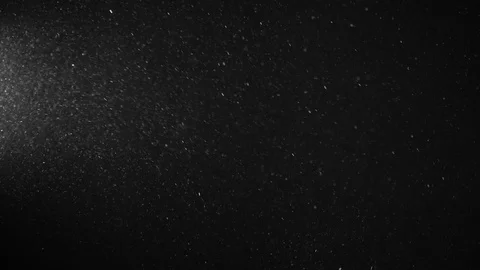 Natural Dust Particles Float On Black Background. Dust In Motion. Stock Footage 123697389
