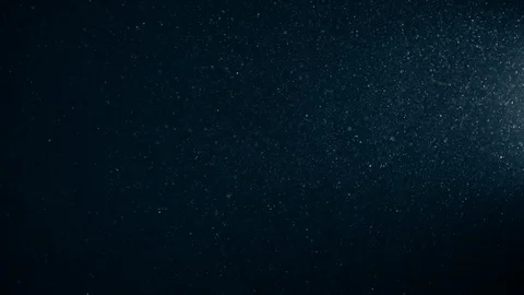 Natural Dust Particles Float On Black Background. Dust In Motion. Stock Footage 123697745