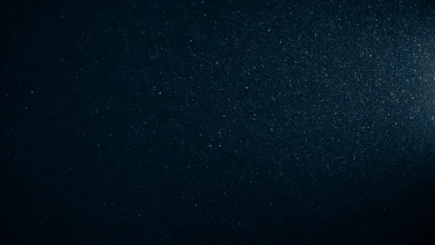 Natural Dust Particles Float On Black Background. Dust In Motion. Stock Footage 123698702