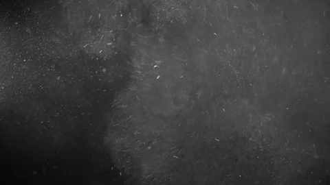 Natural Dust Particles Float On Black Background. Dust In Motion. Stock Footage 123700133