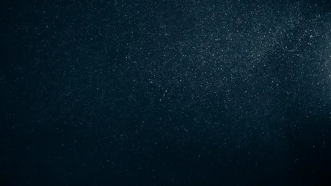Natural Dust Particles Float On Black Background. Dust In Motion. Stock Footage 123701342