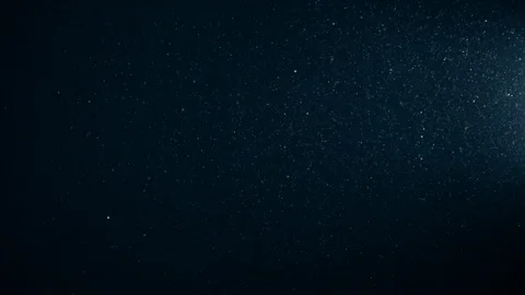 Natural Dust Particles Float On Black Background. Dust In Motion. 스톡 동영상 123701830