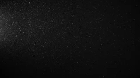 Natural Dust Particles Float On Black Background. Dust In Motion. 스톡 동영상 123702291