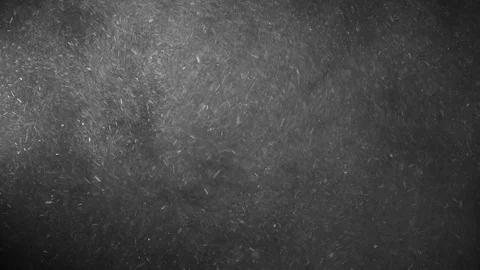 Natural Dust Particles Float On Black Background. Dust In Motion. Stock Footage 123702643
