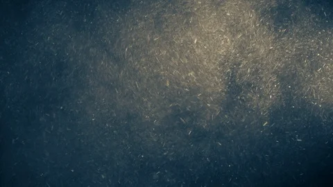 Natural Dust Particles Float On Black Background. Dust In Motion. Stock Footage 123702871