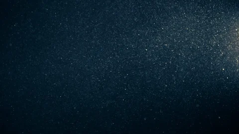 Natural Dust Particles Float On Black Background. Dust In Motion. 스톡 동영상 123703472