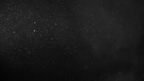 Natural Dust Particles Float On Black Background. Dust In Motion. Stock Footage 123704512