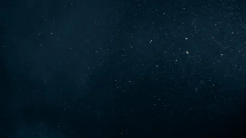 Natural Dust Particles Float On Black Background. Dust In Motion. Stock Footage 123704868
