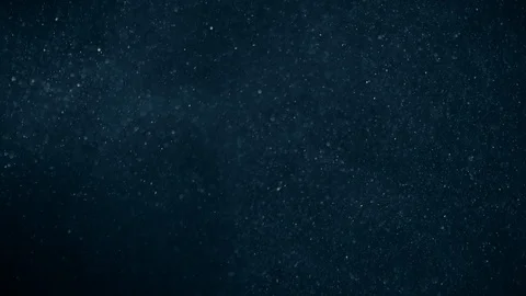 Natural Dust Particles Float On Black Background. Dust In Motion. Stock Footage 123704914