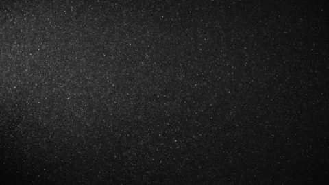 Natural Dust Particles Float On Black Background. Dust In Motion. Stock Footage 123705938