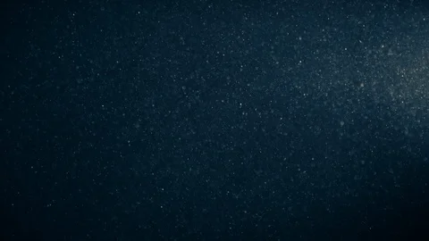 Natural Dust Particles Float On Black Background. Dust In Motion. 스톡 동영상 123706490