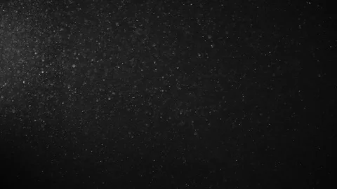 Natural Dust Particles Float On Black Background. Dust In Motion. Stock Footage 123706551