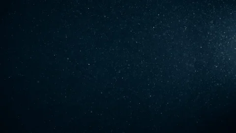 Natural Dust Particles Float On Black Background. Dust In Motion. Stock Footage 123707060