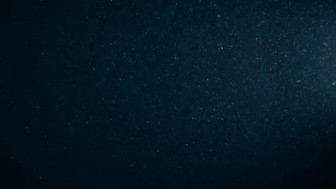 Natural Dust Particles Float On Black Background. Dust In Motion. Stock Footage 123707297