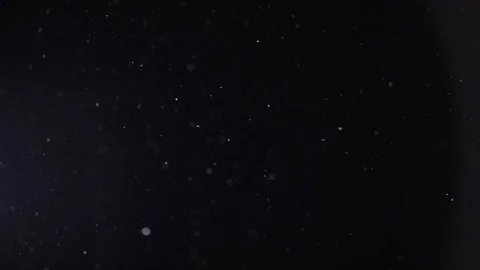 Natural dust particles float on black background. Stock Footage 125029742
