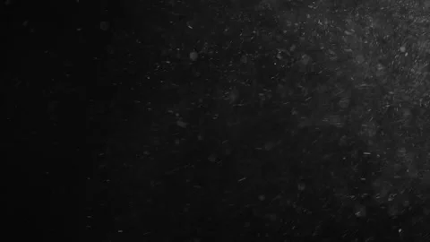 Natural Dust Particles Float On Black Background. Dust In Motion. Stock Footage 247322255