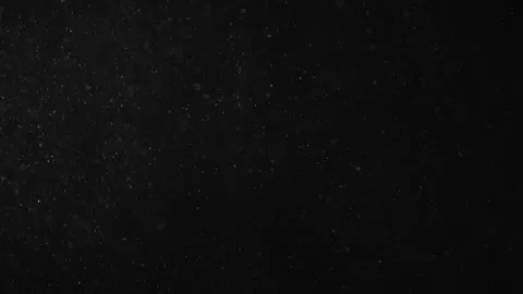 Natural Dust Particles Float On Black Background. Dust In Motion. Stock Footage 247322391