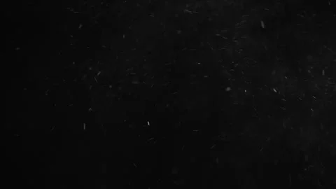 Natural Dust Particles Float On Black Background. Dust In Motion. Stock Footage 247323076