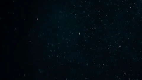 Natural Dust Particles Float On Black Background. Dust In Motion. Stock Footage 247581489