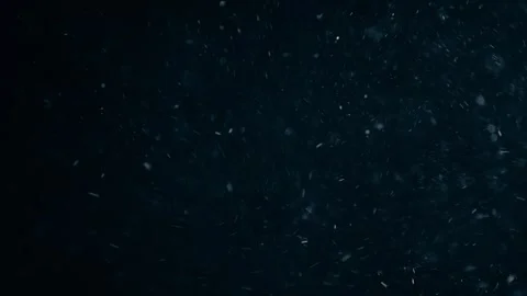 Natural Dust Particles Float On Black Background. Dust In Motion. Stock Footage 247581608