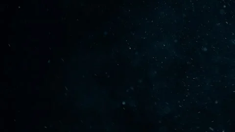Natural Dust Particles Float On Black Background. Dust In Motion. Stock Footage 247581626