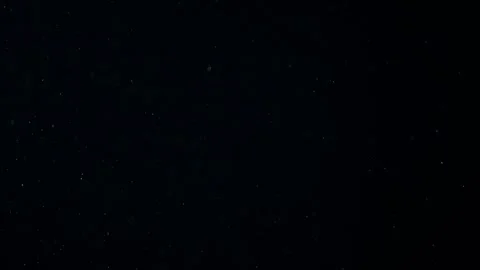 Natural Dust Particles Float On Black Background. Dust In Motion. Stock Footage 247582002