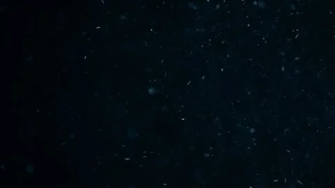 Natural Dust Particles Float On Black Background. Dust In Motion. Stock Footage 247582124